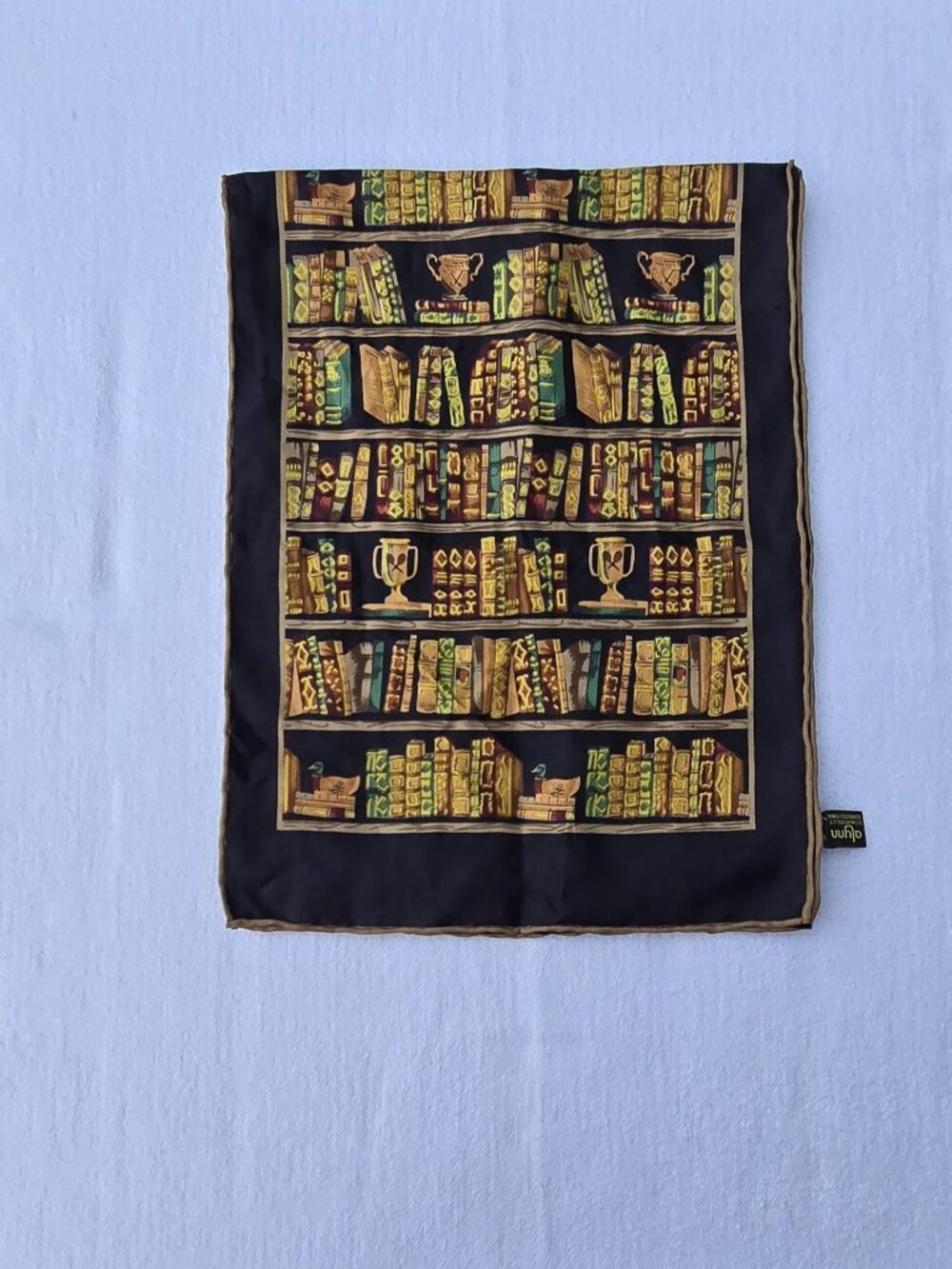 Alynn 100% Silk Bookshelf Library Novelty Scarf 10 x 52
